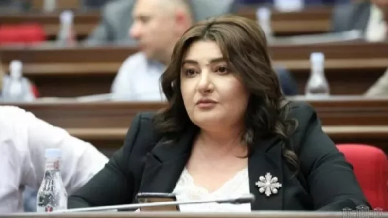 Իշխանական քարոզչամեքենան շրջանառության մեջ դրեց այն թեզը, որի համաձայն Գագիկ Ծառուկյանը կկալանավորվի. Տոնոյան