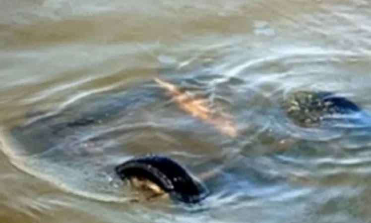 Մեքենան ընկել է Արզնի-Շամիրամ ջրանցքը. կան տուժածներ