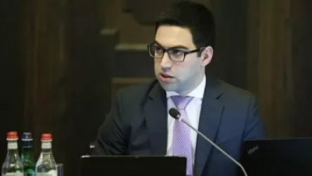 Հունիսի 20-ից առ այսօր Երևանում գրանցվել է 5255 ծնունդ, որից 3688-ը՝ ԲԿ-ներում տեղակայված