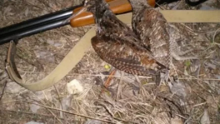 Վարսեր գյուղի հարակից որսահանդում թույլատրելից շատ լոր են որսացել. ԲԸՏՄ