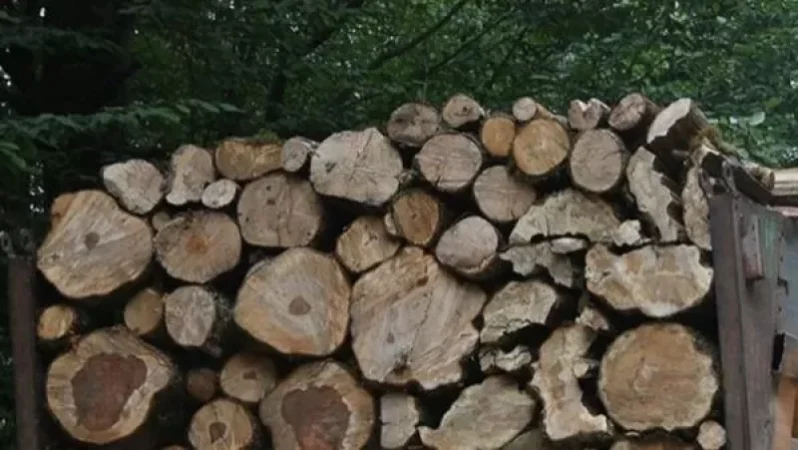 Փայտանյութով բեռնված մեքենան տեղափոխվել է հատուկ պահպանվող տարածք