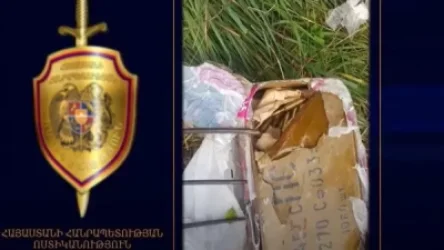 ՏԵՍԱՆՅՈՒԹ. Խուզարկությամբ խոտի դեզում հայտնաբերվել են մեծ քանակի փամփուշտներ