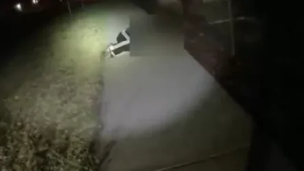 ՏԵՍԱՆՅՈՒԹ. ԱՄՆ-ում ոստիկանները 11 անգամ կրակել են աուտիզմով հիվանդ 13-ամյա տղայի վրա