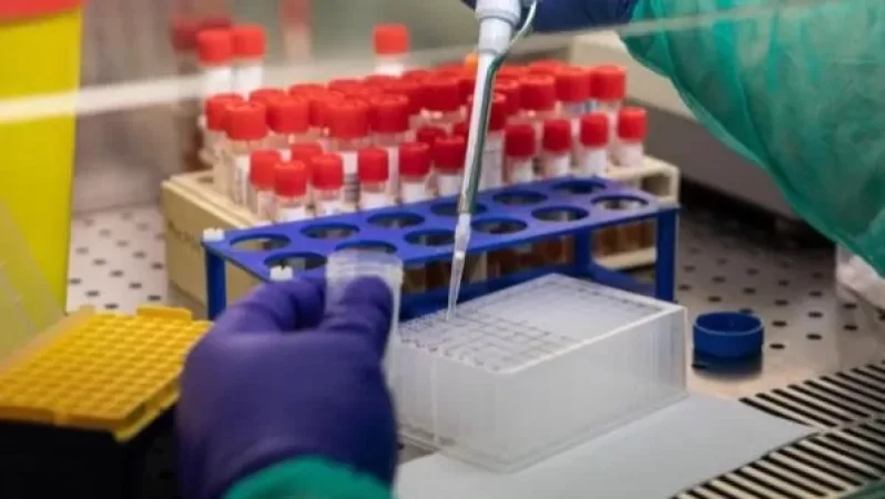 Դպրոցներում կորոնավիրուսային հիվանդություն հայտնաբերվել է թեստավորված անձնակազմի 1. 5 %-ի մոտ. ԱՆ