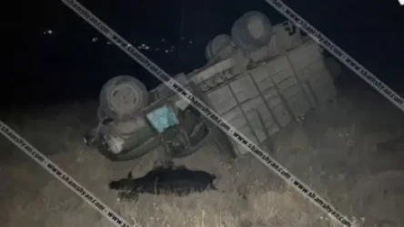 35-ամյա վարորդը ЗИЛ 130-ով, որի թափքի մեջ «Զազո» անունով կովն էր, կողաշրջվել է