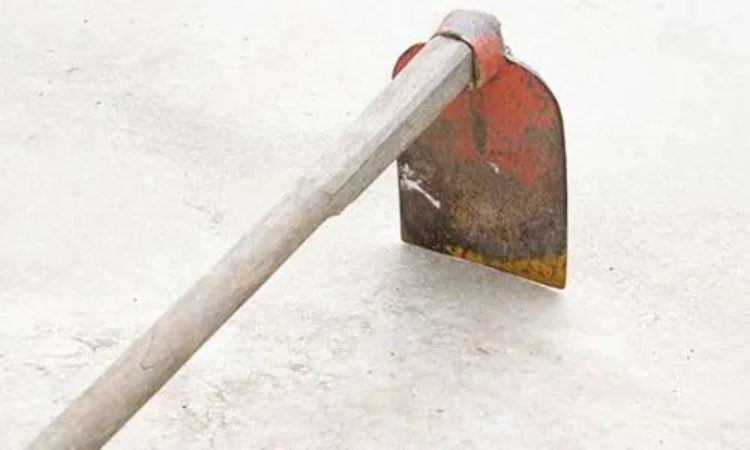 Սպանություն Օձունում. 27-ամյա կինը բրիչով հարվածել է 63-ամյա համաքաղաքացուն