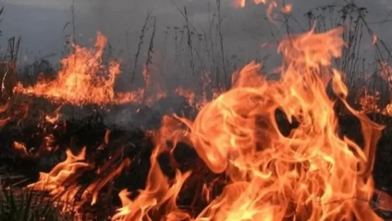 Հրդեհ Մուշավան թաղամասում