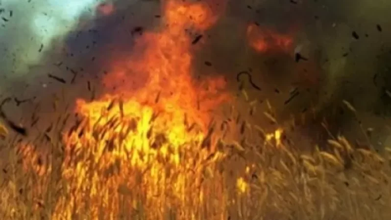 10 հա բուսածածկ տարածք հրդեհի ճիրաններում է. Լեհվազ գյուղ