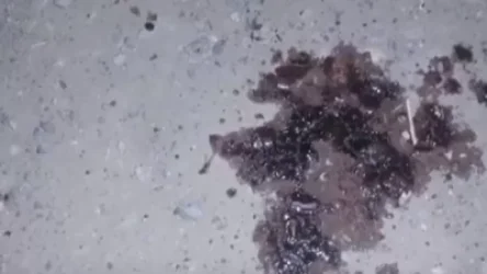 ՏԵՍԱՆՅՈՒԹ. Դանակահարություն Արմավիրում