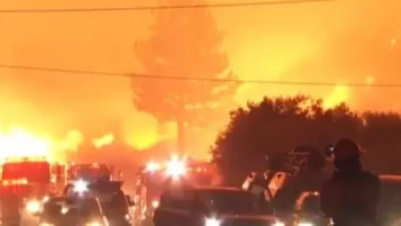 ՏԵՍԱՆՅՈՒԹ. Հուժկու հրդեհ Լոս Անջելեսի ազգային արգելոցում