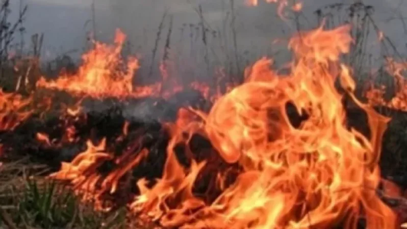 Fire Breaks Out Near 'Parvana' Restaurant