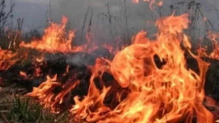 Հրդեհ  «Փարվանա»  ռեստորանին հարակից տարածքում