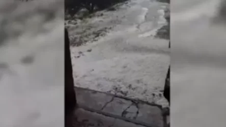 ՏԵՍԱՆՅՈՒԹ. Ուժգին կարկուտ Շիրակում