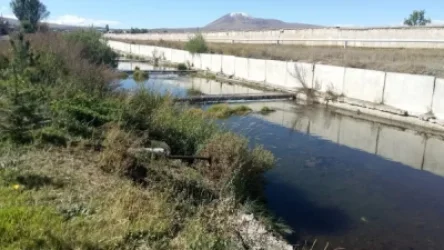 7-ամյա աղջիկն ընկել է Մարտունի գետն ու ջրահեղձ եղել. Shamshyan.com