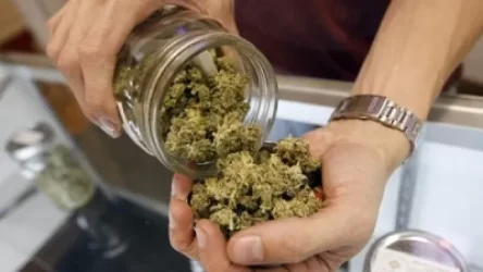 ՏԵՍԱՆՅՈՒԹ. 27-ամյա բարմենի տնից մարիխուանայի նմանվող զանգված է հայտնաբերվել