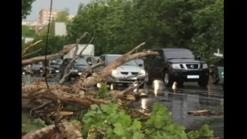 Փրկարարները տապալված ծառեր են հեռացրել ճանապարհներից