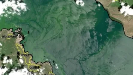 Արբանյակային լուսանկարներ «ծաղկած» Սևանա լճից