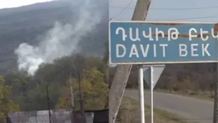 Հրատապ.Ադրբեջանական ուժերը Սյունիքի Դավիթ Բեկ գյուղի վրա երկու համազարկով թափել է 40 արկ Գրադ, կա մեկ զոհ