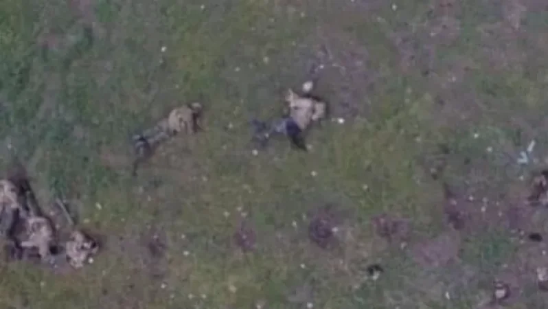 Հադրութի ուղղությամբ գրոհի տապալումից հետո հակառակորդը թողել է 10-15 դիակ ու փախել. ՊՆ