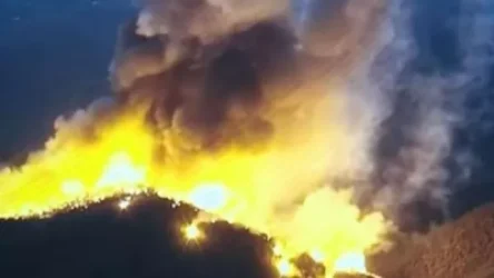 Արցախի առնվազն 1815  հեկտար անտառների հրդեհումը պատերազմական հանցագործություն է. ԱՀ ՄԻՊ