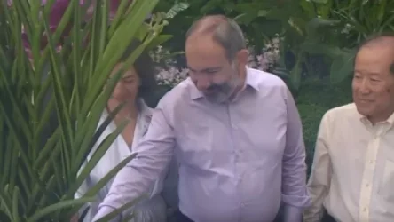 ՏԵՍԱՆՅՈՒԹ. Սինգապուրում մեր անունով ծաղիկ անվանակոչեցին. Փաշինյան