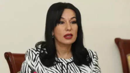 Որպես ԱԺ ՄԻ հանձնաժողովի նախագահ, դիմել եմ միջազգային բոլոր կառույցներին. Նաիրա Զոհրաբյան