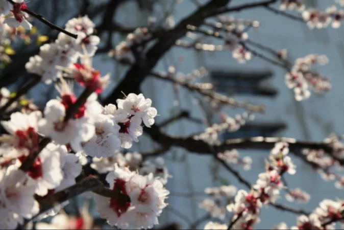 ՀՀ մի շարք շրջաններում առավելագույն ջերմաստիճանները գերազանցել են երբևէ դիտված պատմական արժեքները