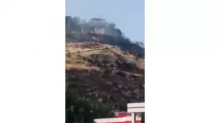 ՏԵՍԱՆՅՈՒԹ․ Հրդեհ Մյասնիկյան պողոտայում և հարակից խոտածածկ տարածքում