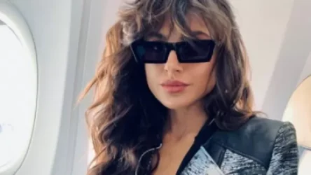 Սիրուշոն հայտարարագրել է եկամուտները