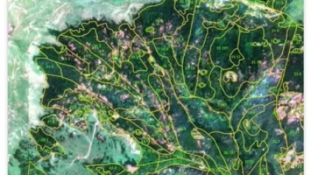 Անտառահատումների ծավալը Իջևանում. առաջին արբանյակային GIF պատկերը