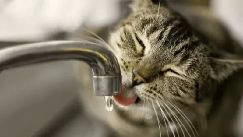 Որոշ բնակավայրերում ջուր չի լինի