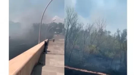 ՏԵՍԱՆՅՈՒԹ. Մարզահամերգային համալիրի մոտ բուսածածկույթ է այրվում