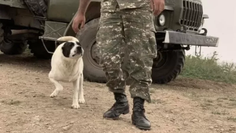 Դիրքերի Չալոն, ոտքը ականի վրա է կորցրել. ՊՆ խոսնակ