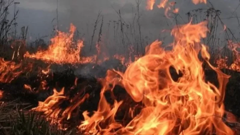 Հրդեհ՝ Նորքի այգիներ փողոցում