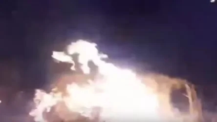 ՏԵՍԱՆՅՈՒԹ. Խոշոր հրդեհ 2 գյուղի միջնամասում. մարման աշխատանքներին միացել են բնակիչները