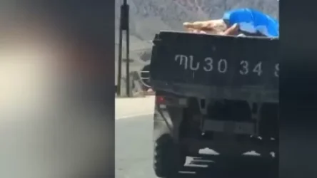 ՏԵՍԱՆՅՈՒԹ. Զինվորների համար նախատեսված միսը տեղափոխվում է բաց, կիզիչ արևի տակ.  SHANTNEWS