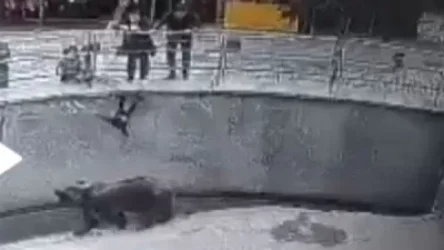 ՏԵՍԱՆՅՈՒԹ․ Ինչպես է Տաշքենդում մայրը փոքրիկ աղջկան նետել արջի վանդակի մեջ․ կադրեր են հրապարակվել