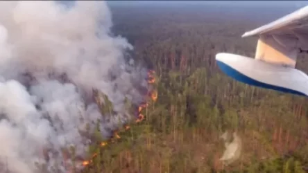 2,8 մլն հա տարծաք. Սիբիրյան հրդեհների ծուխը հասել է ԱՄՆ և Կանադա