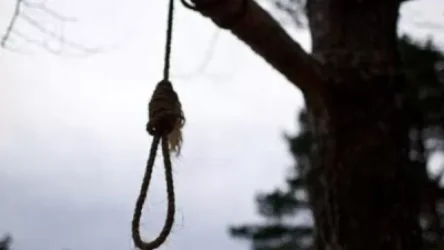 Կանխվել է հերթական ողբերգությունը. տանտիրուհին հակի թելով կախվել էր ծառից