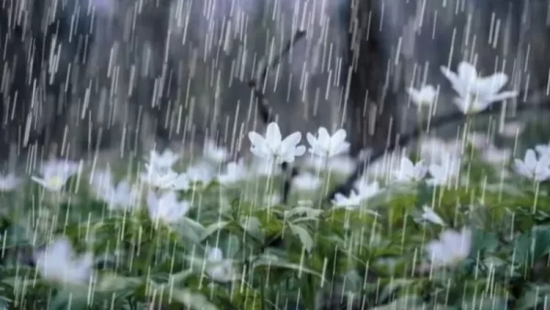 Եղանակ. օդի ջերմաստիճանը կնվազի 8-10 աստիճանով. սպասվում է անձրև և ամպրոպ