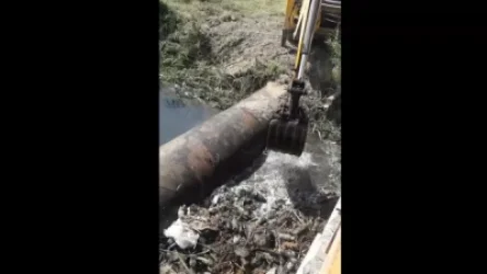 ԼՈՒՍԱՆԿԱՐՆԵՐ. Այն վայրում, որտեղ արագիլները յուղոտվել են, կեղտաջրերի մաքրման աշխատանք են իրականացնում