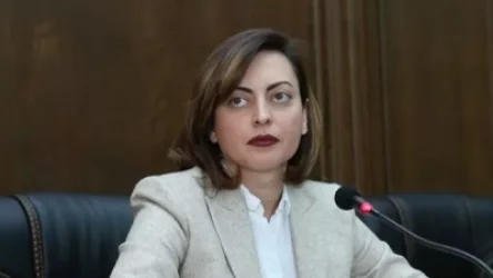 Ավարտվեց «Իմ քայլը» խմբակցության հանդիպումը Նիկոլ Փաշինյանի հետ. Լենա Նազարյան