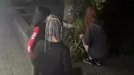 ՏԵՍԱՆՅՈՒԹ․  Երևանում, երեք կանայք,  գողացել են թվով հինգ էկզոտիկ ծառեր