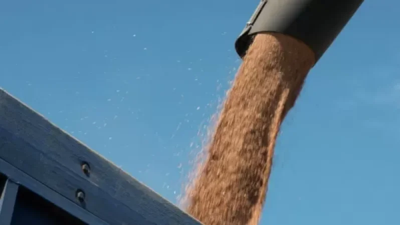 Լավրովը` Թուրքիայի հետ նավահանգիստների ականազերծման և ուկրաինական հացահատիկի արտահանման մասին