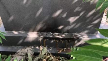 Գերեզմանները պղծելու կասկածանքով կա բերման ենթարկված․ արդյո՞ք նույնն կին է