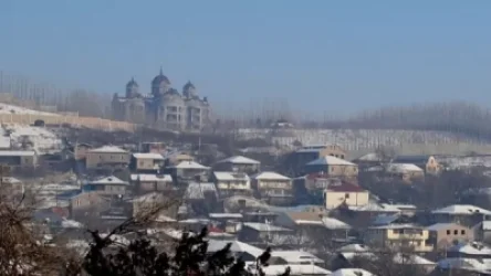 8000 քմ տարածք է այրվել Գագիկ Ծառուկյանի տան հարակից տարածքում