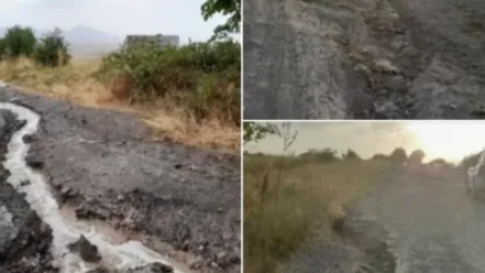 Այս մասին խոսում եմ առաջին և վերջին անգամ․ Մանե Թանդիլյանը բարձրաձայնել է ռազմավարական նշանակության խնդրի մասին