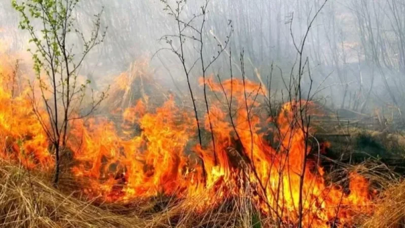 60 մարտական հաշվարկ․ 54 հրդեհ․ ԱԻՆ-ը պայքարում է խոտածածկ տարածքներում բռնկված հրդեհների դեմ