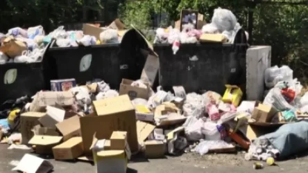 «Խայտառակ ենք լինում աշխարհով մեկ, տուրիստներն անմիջապես աղբ են նկարում». Կարինե Դանիելյան