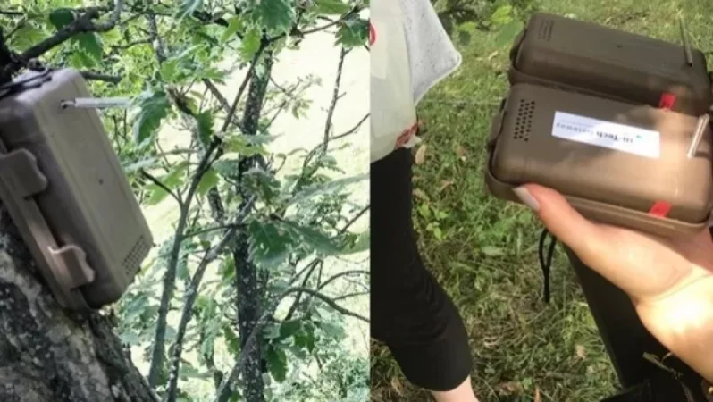 Հույսը դրվեց նոր տեխնոլոգիաների վրա. Ստեփանավանի անտառները կհսկվեն ձայնազգայուն սենսորային սարքերով